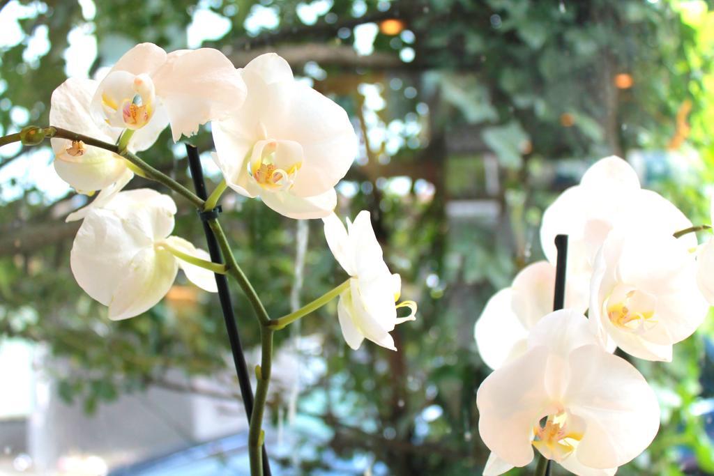Hotel Eden Am Kurpark Bonn Ngoại thất bức ảnh